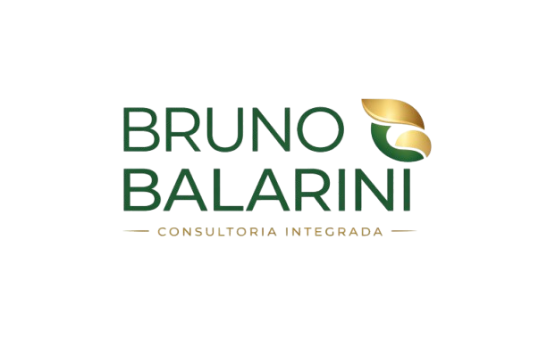 Bruno Balarini — Consultoria Integrada